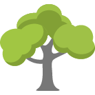 Provo Tree Trimming